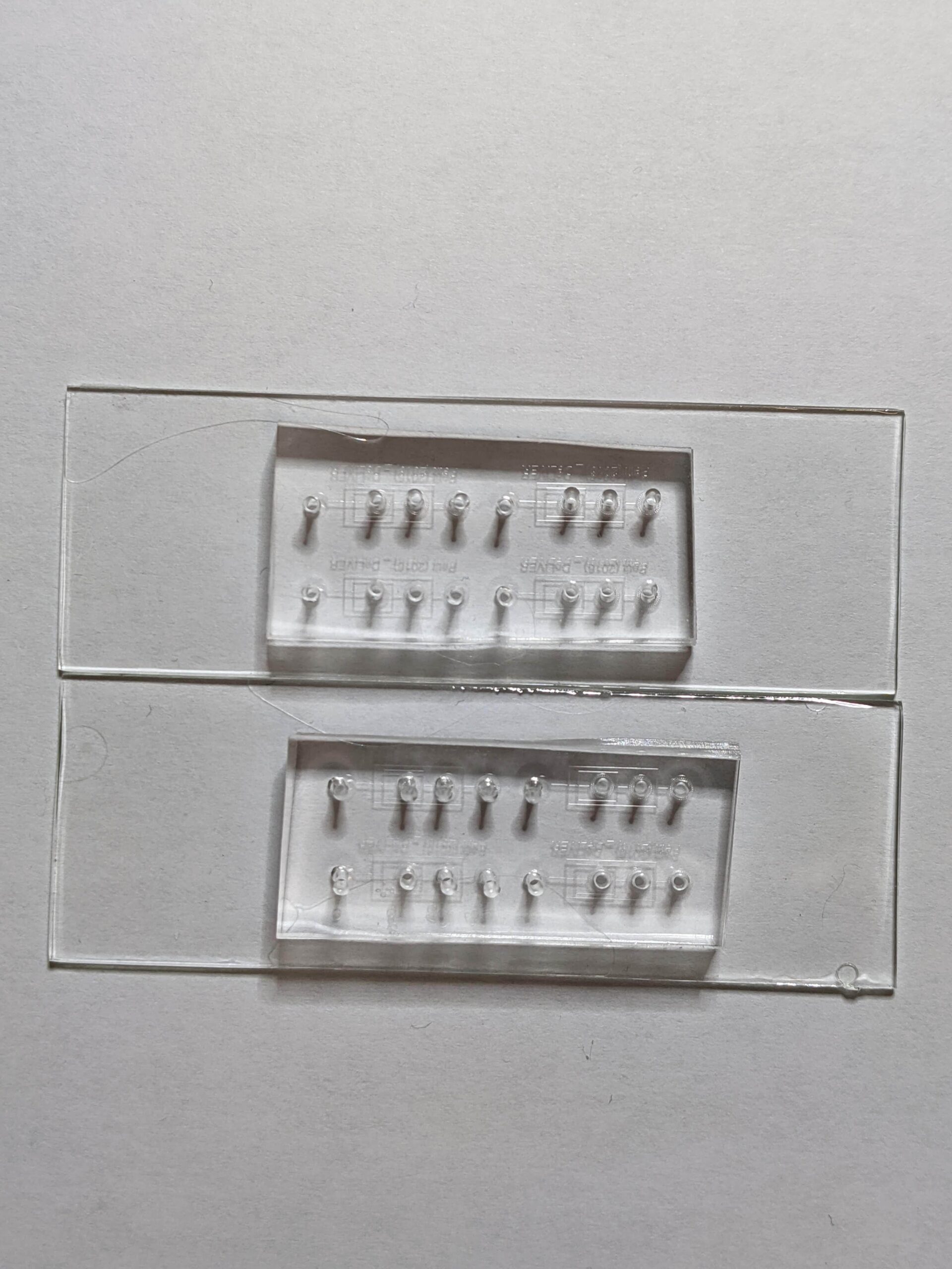 Homemade microfluidic chip for double emulsion scaled e1630509625326