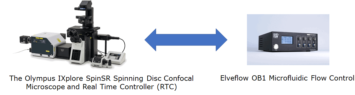 RTC  Why was RTC closed for a while? - General - Cookie Tech