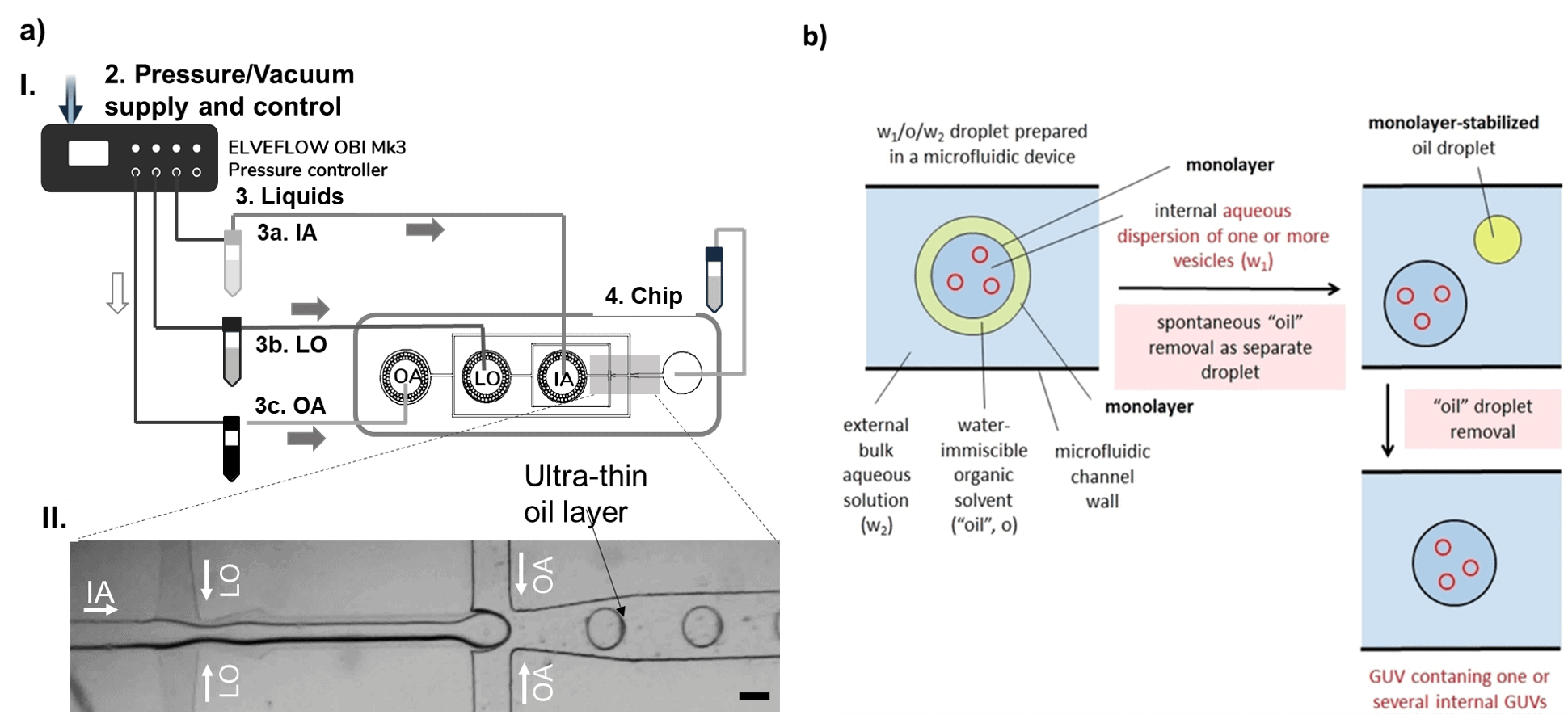 Multivesicular microfluidic vesicles microfluidic production