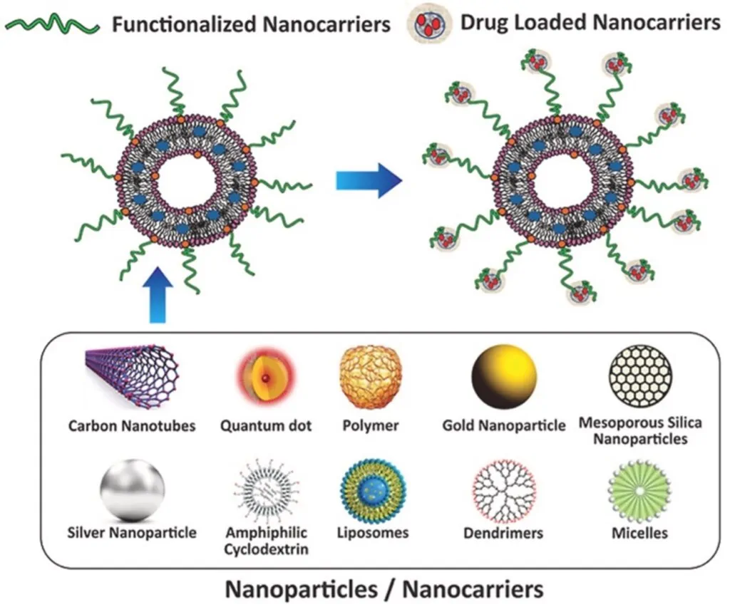 Nanocarriers for nonlinear microscopy: Micro4Nano - Elveflow