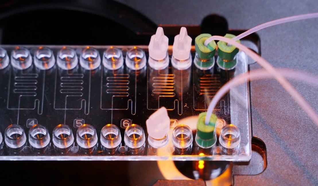 Microfluidic chip device setup