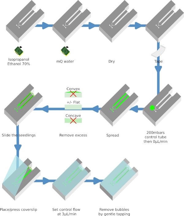 Microfluidic chip preparation