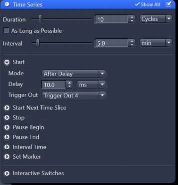 Zeiss Zen software Time Series