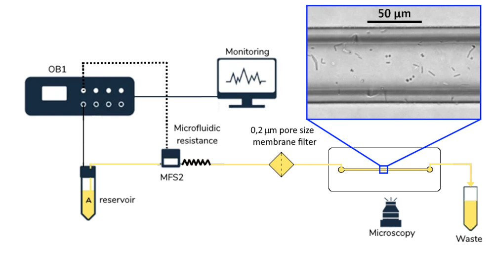 biofilm testing schematics