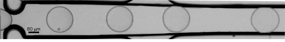 droplet sequential production and droplet trapping at the nozzle