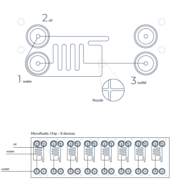 detail of the microfluidic chip