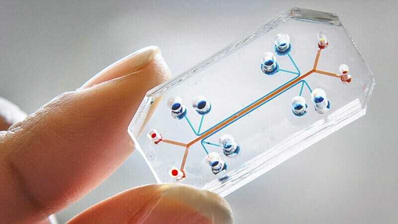 microfluidique organs sur puce