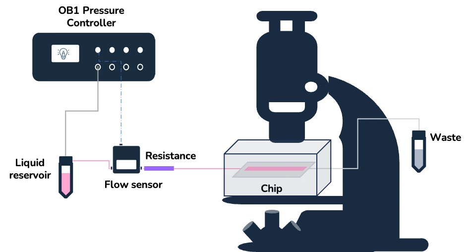 live cell imaging setup with stage top incubator, inverted microscope, pressure driven flow controller and flow sensor