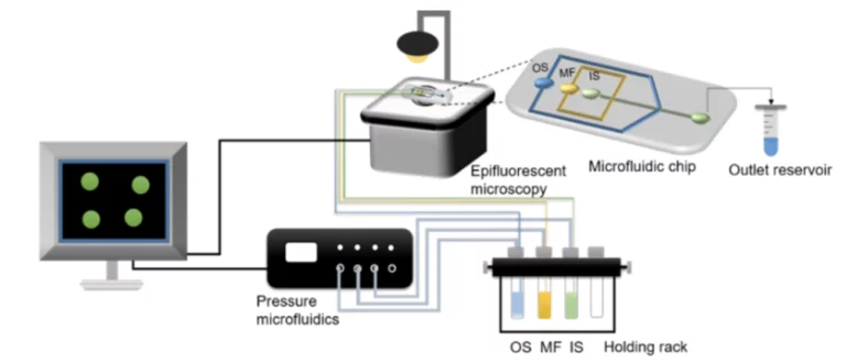 Experimental-procedure-for-the-production-of-double-emulsions