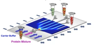 Microfluidic-free-flow-electrophoresis