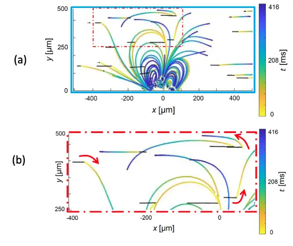 The expanded view reveals particles situated at a considerable distance from the bubble