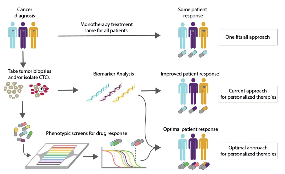 Schematic representation of personalized medicine