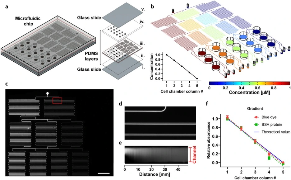 BH3 protein profiling in microfluidics