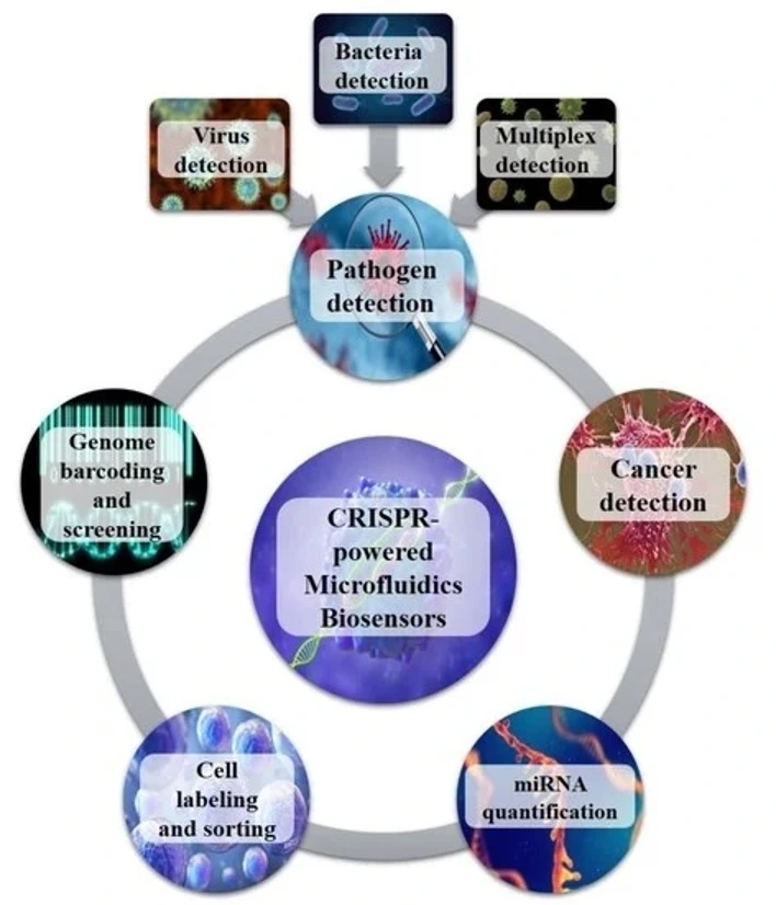 CRISPR-powered microfluidics biosensors