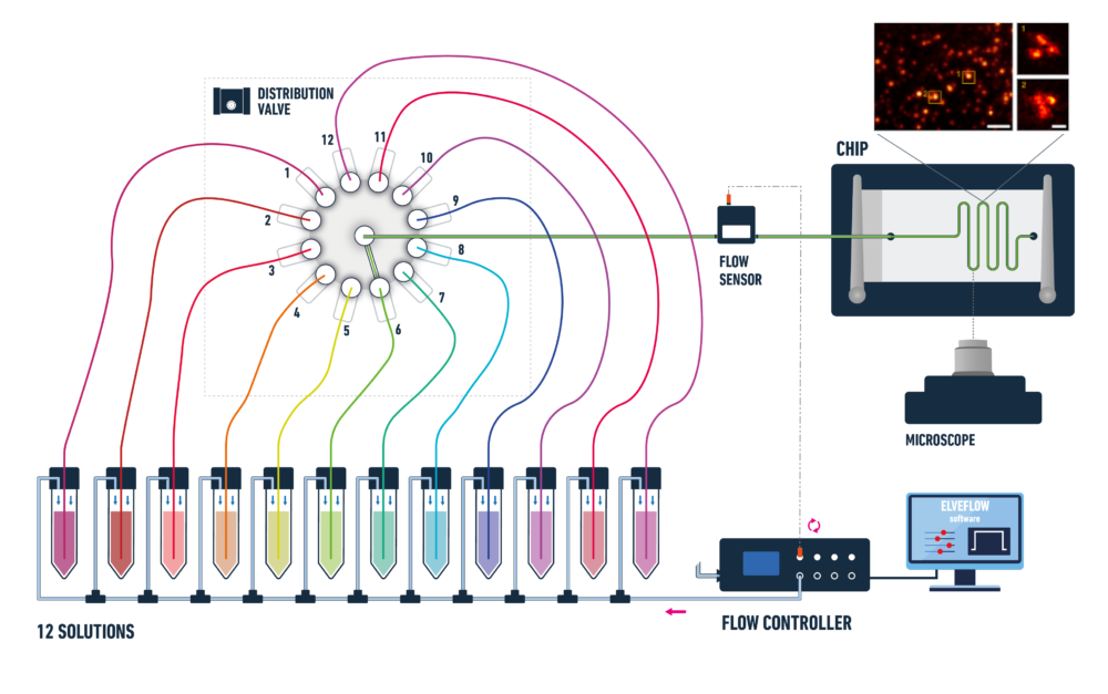 DNA-paint-pack-Microfluidics-innovation-center