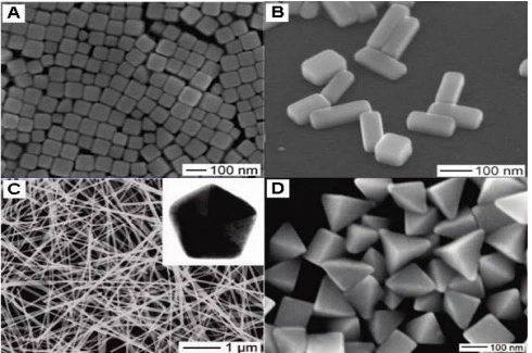 Nanocristal scanning electron microscopy images