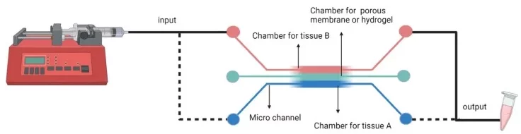 Microfluidic system with cell culture chambers.