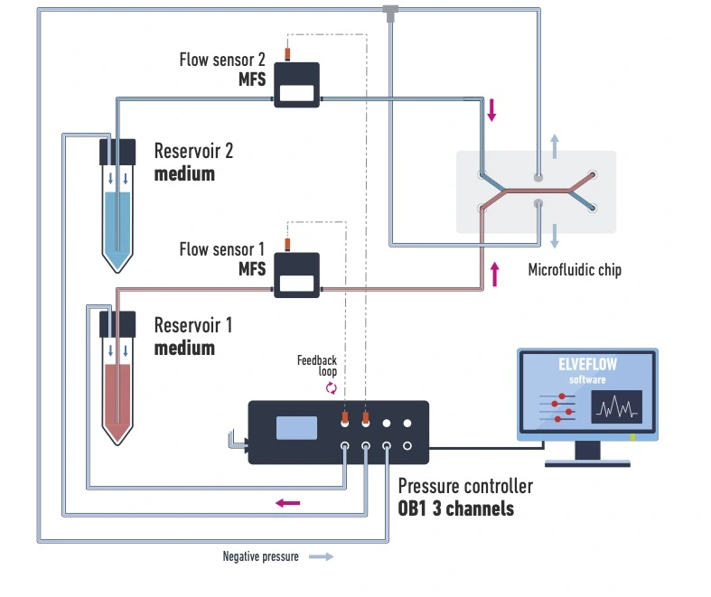 Elveflow microfluidic set up with Emulate Gut-on-chip to reproduce peristaltic movement.