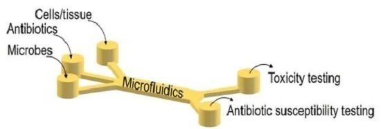 Microfluidics for Antibiotic Susceptibility and Toxicity Testing