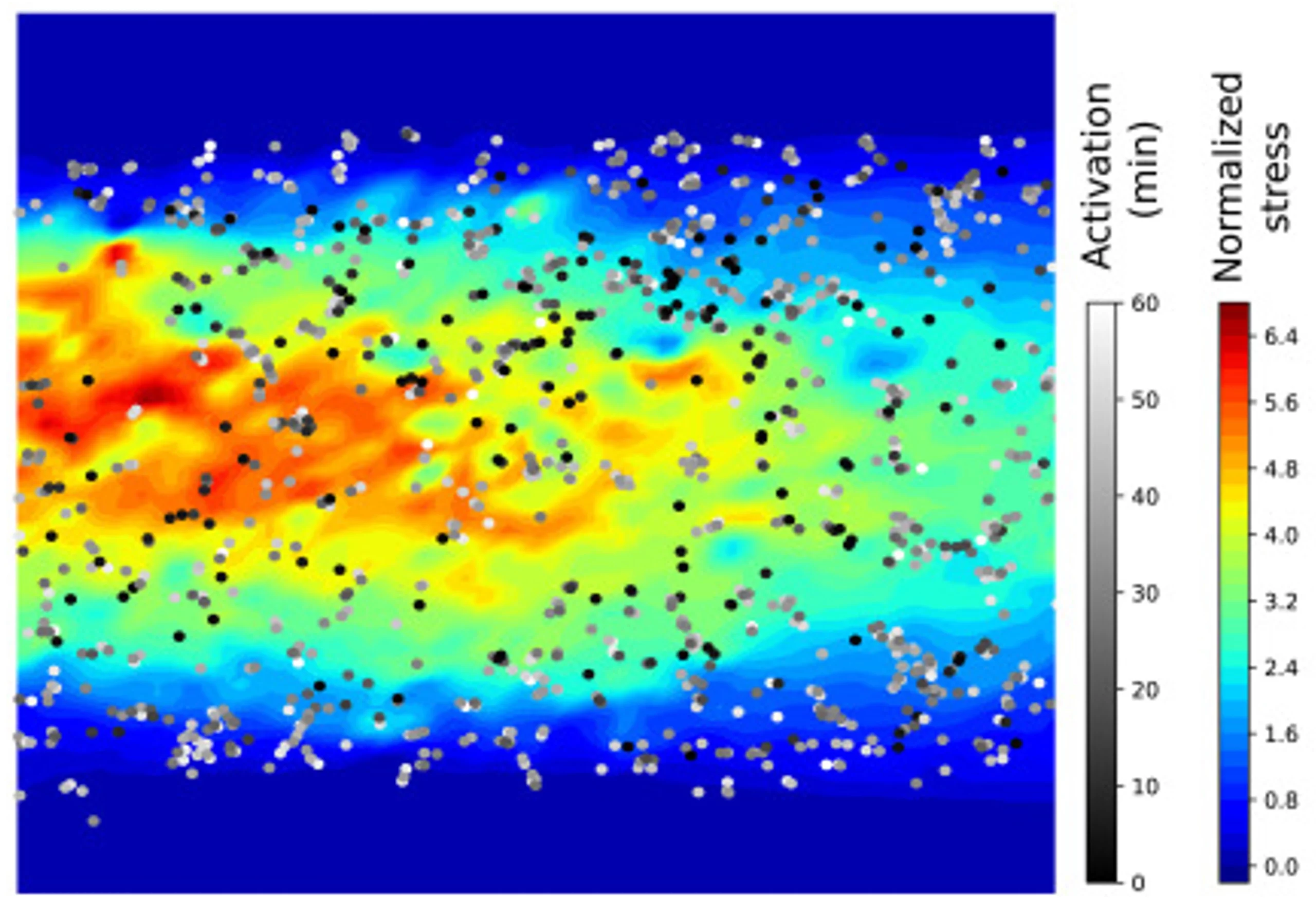 Stress map (averaged over a cycle) with TSAR activation times superimposed; every point corresponds to the (x, y) coordinates of a tracked activation (the darker, the faster activation time)