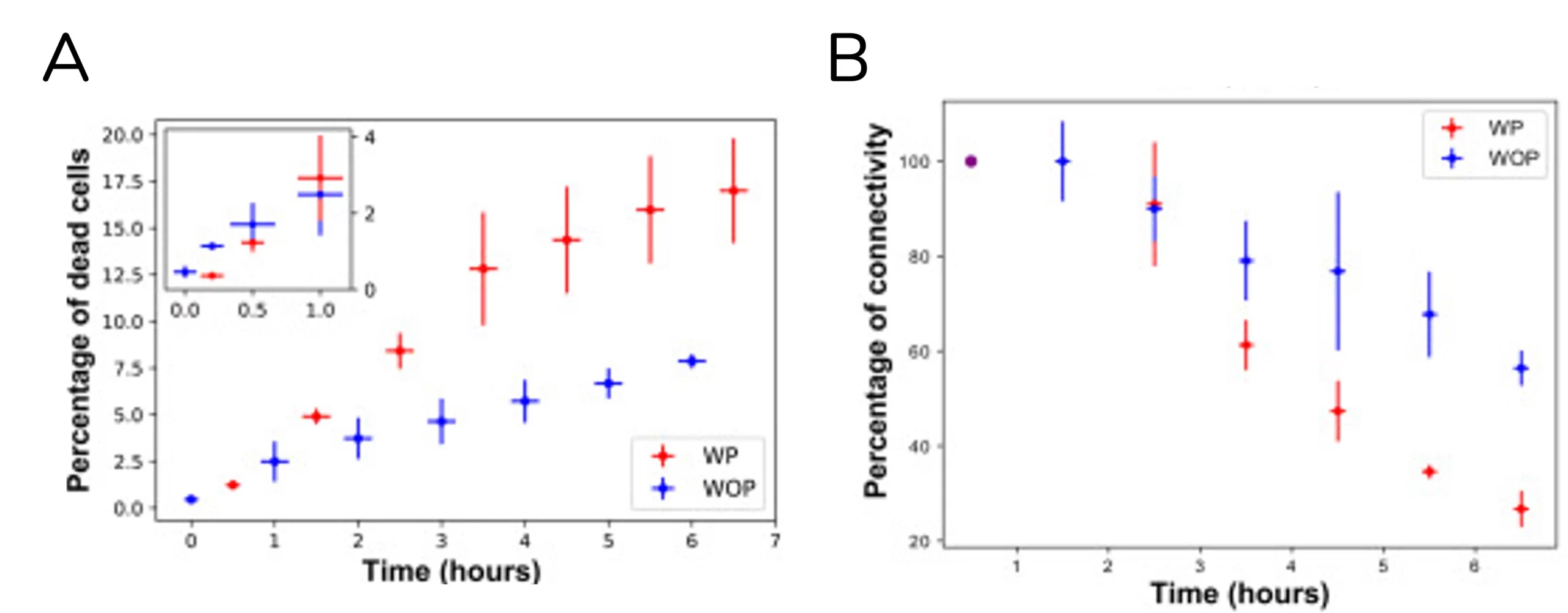 Tissue degradation under peristaltic conditions after amoeboid infection. A) Percentage of dead cells to total dead cells (N=8). Tissue connectivity evaluation based on E-cadherin junctions (N=6).