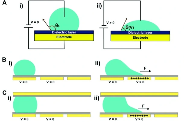 Microfluidic Digitization