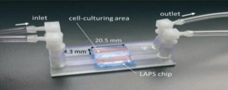 3D printed microlfuidic chip