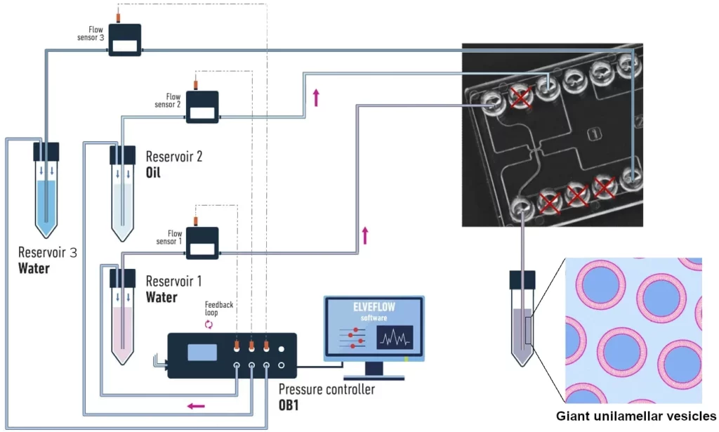 Giant-unilamellar-vesicles-GUV-microfluidic-setup-Elveflow