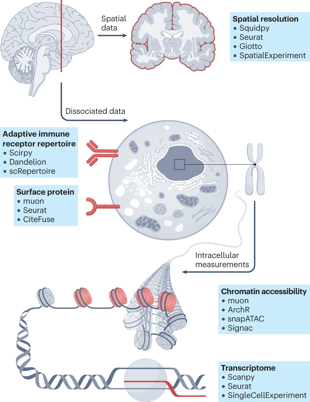 Best Practices for Single-Cell Analysis Across Modalities