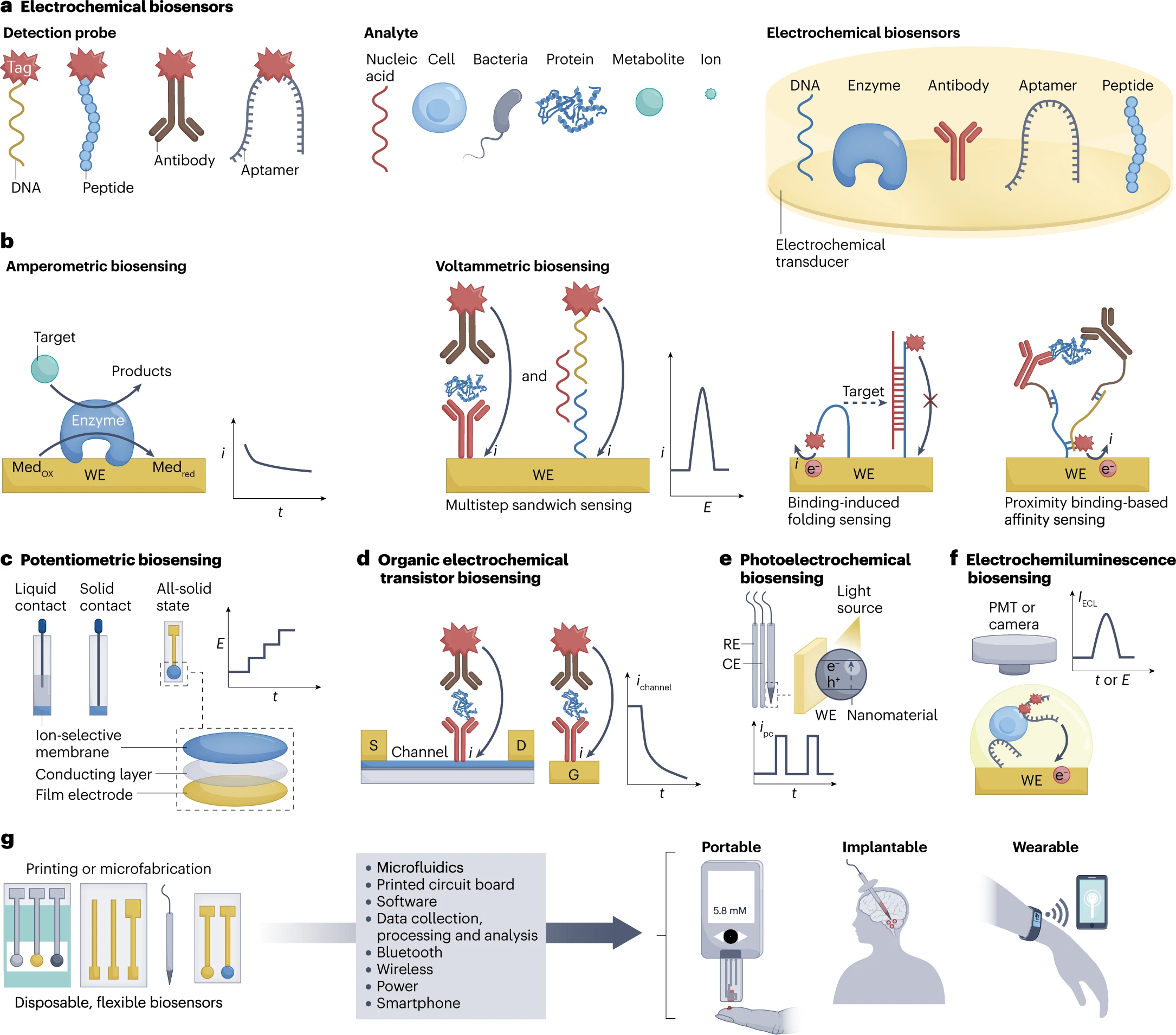 This review article delves into the various types of electrochemical biosensors, their integration into digital health systems, and the challenges and future directions in this rapidly evolving field.