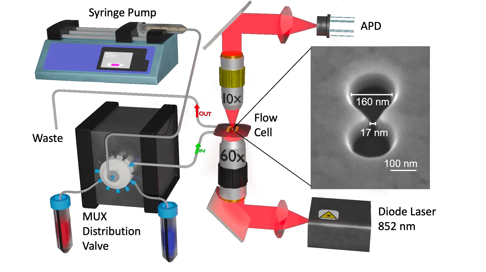 Structural Flexibility and Disassembly Kinetics of Single Ferritin Molecules Using Optical Nanotweezers : Schematic of optical nanotweezer setup.