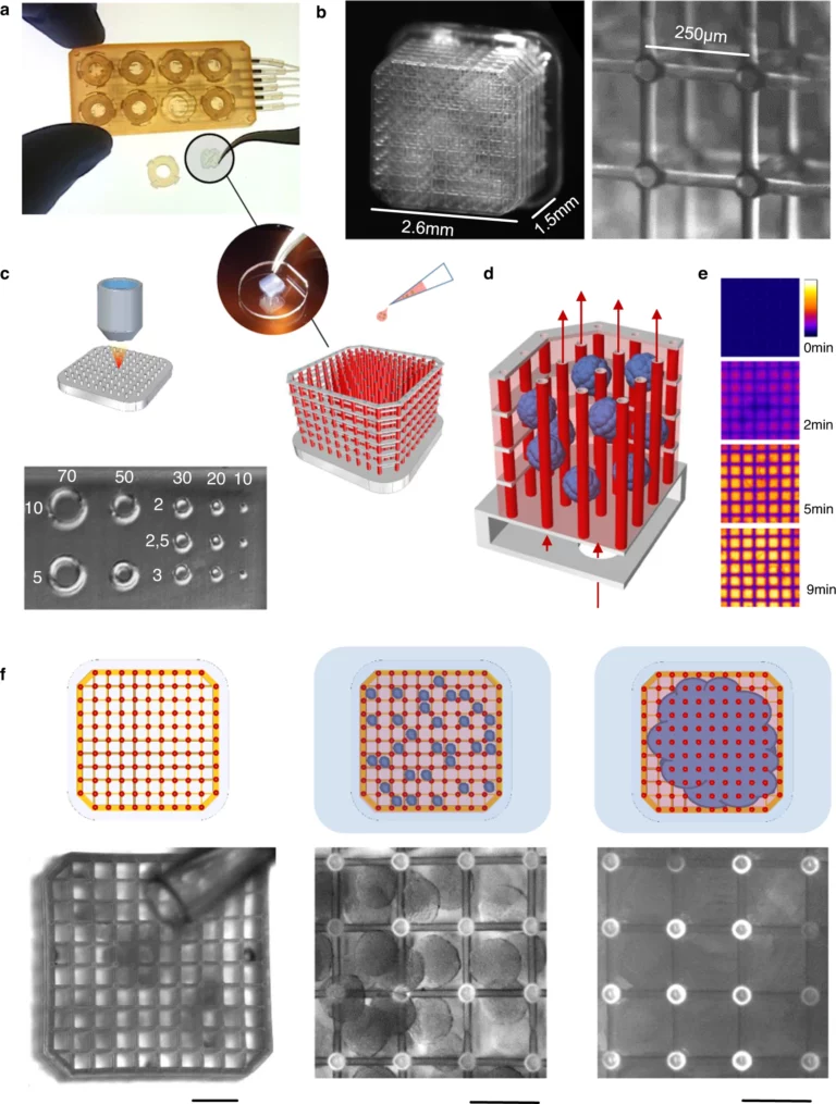 On-chip micro-vascularization enabled by soft microfluidics.