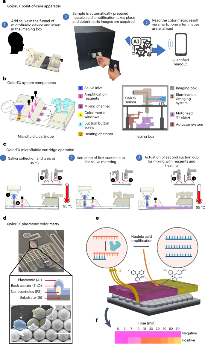 Nanoplasmonic amplification in microfluidics enables accelerated colorimetric quantification of nucleic acid biomarkers from pathogens