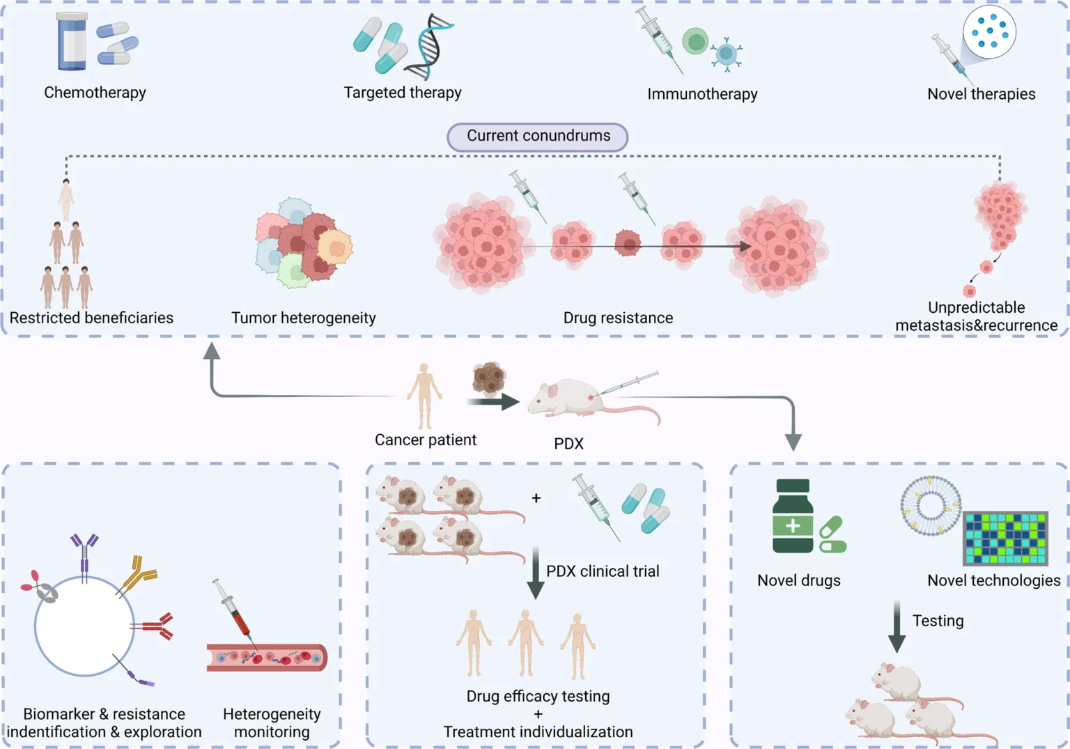 Patient-Derived Xenograft Models in Cancer Therapy: Technologies and Applications