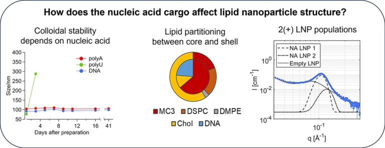 Lipid nanoparticles for nucleic acid delivery