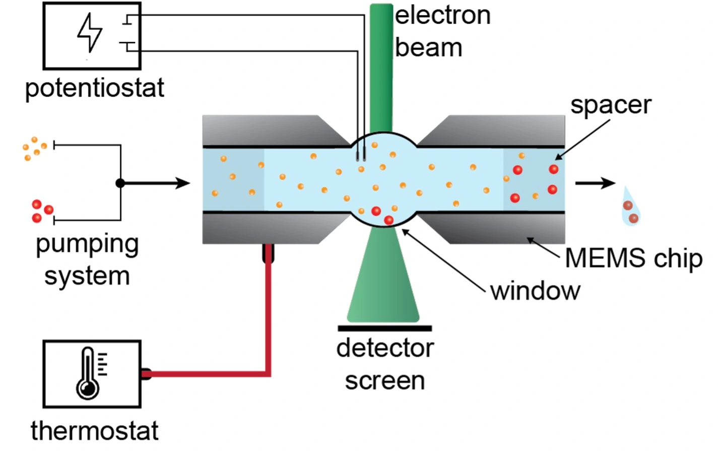 Schematic representation of LP-EM setups.