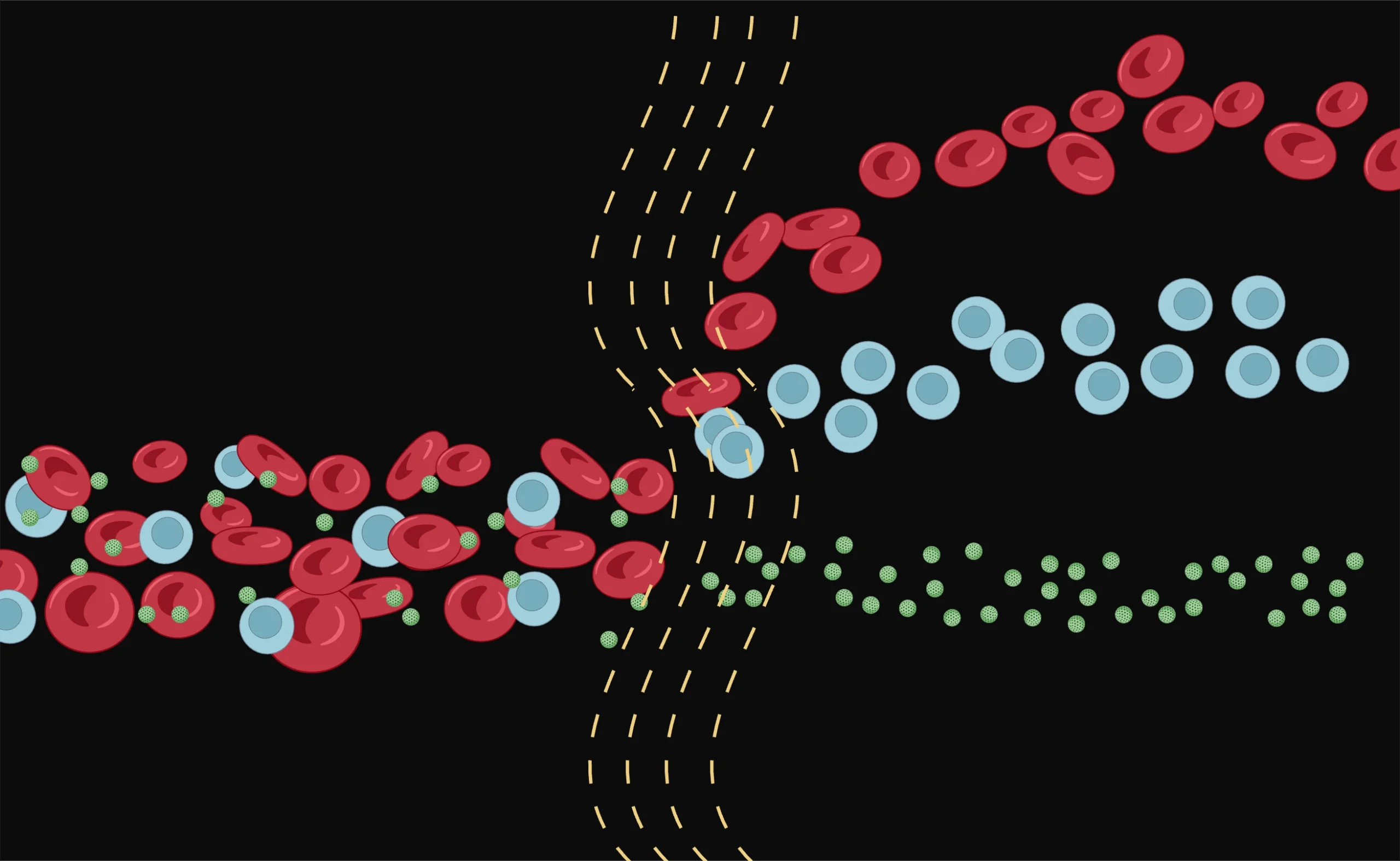 Acoustofluidics representation