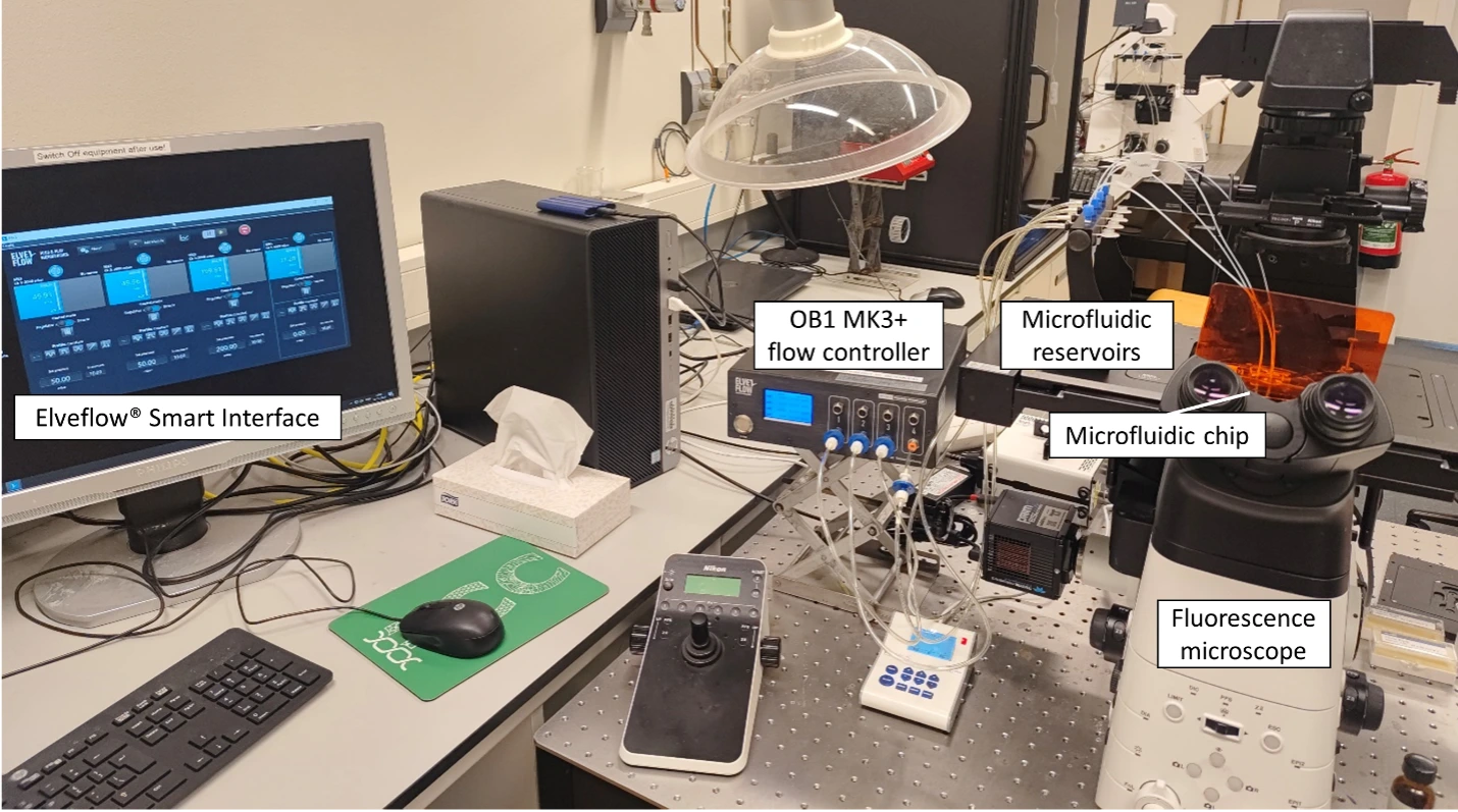 Figure 2- Microfluidic setup for the generation of EMO and their characterization.