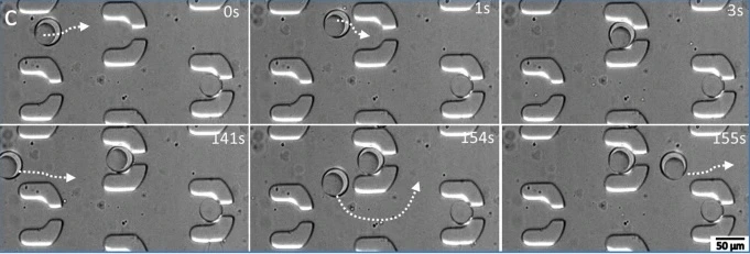 Figure 4 c - Trapping process for DEs, with the top panel showing a DE entering and being confined within the trap, whereas the bottom panel demonstrates that once a trap is filled, the incoming DEs tend to bypass the filled trap. White arrows indicate the DE trajectories.