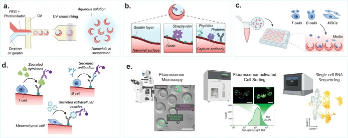 Nanovials