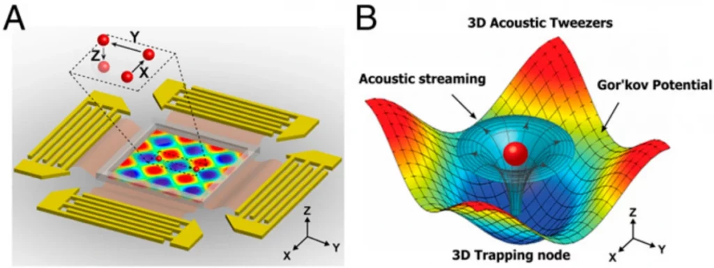 Acoustic tweezers model from Duke’s Acoustofluidics Lab, The Inset indicates a single particle within a “3D trapping node,” which is independently manipulated along the x, y, or z axes.