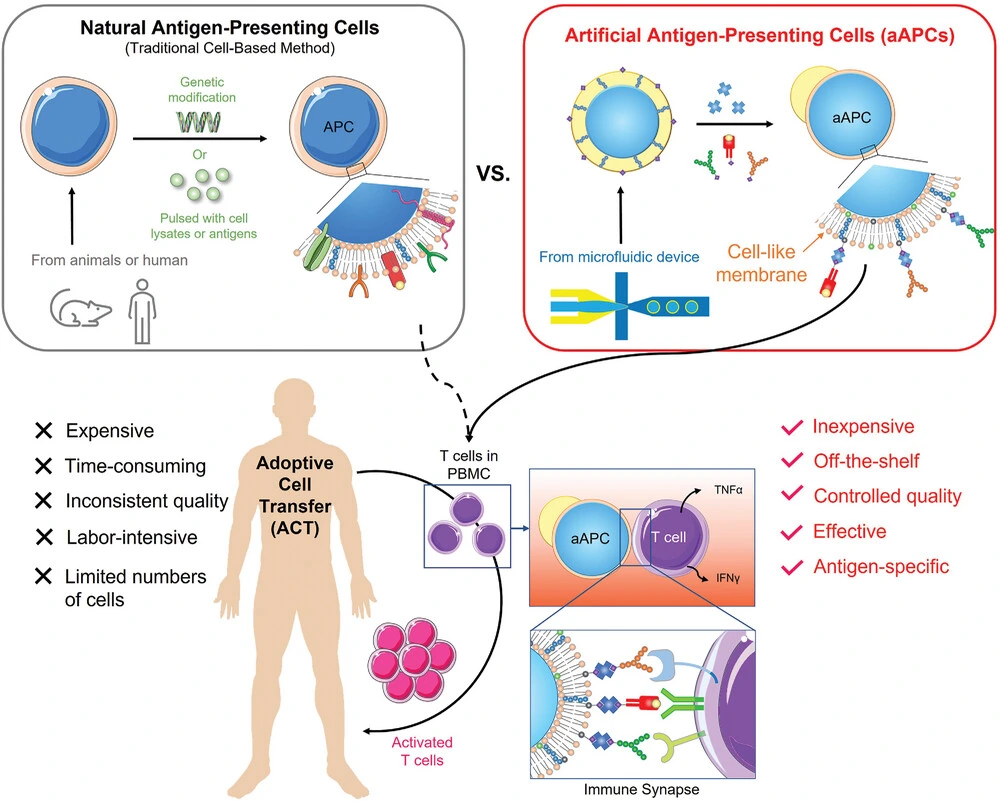 double emulsion presenting antigen cell