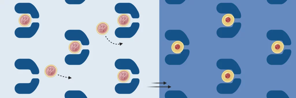 illustration for elastin like membraneless organelles trap array