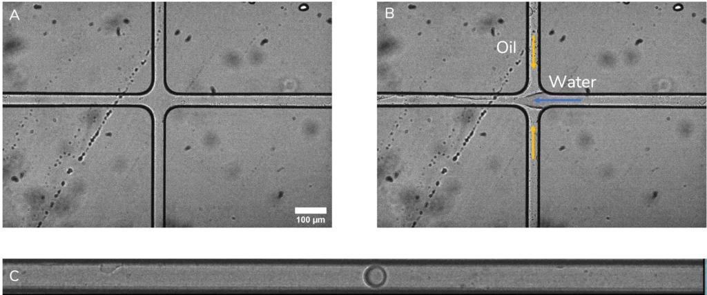 Droplet generation under microscope