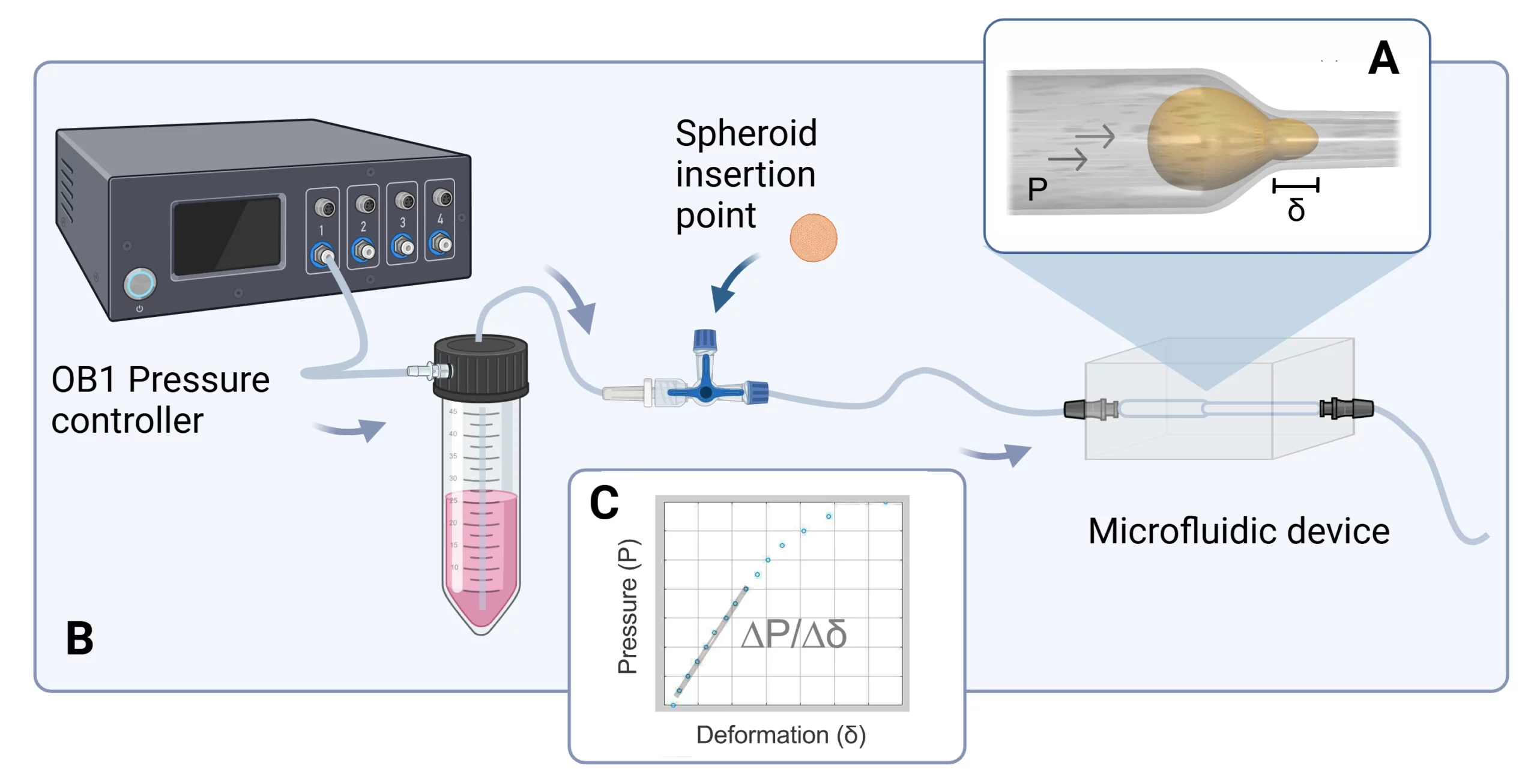 Schematics of the constriction assay. A) Custom-made constriction microdevice (BeOnChip and Aiitip). B) Microfluidic set up controled by Elveflow OB1 MK4 Microfluidic Flow Controller. C) Spheroid stiffness is calculated as a pressure/deformation relationship.