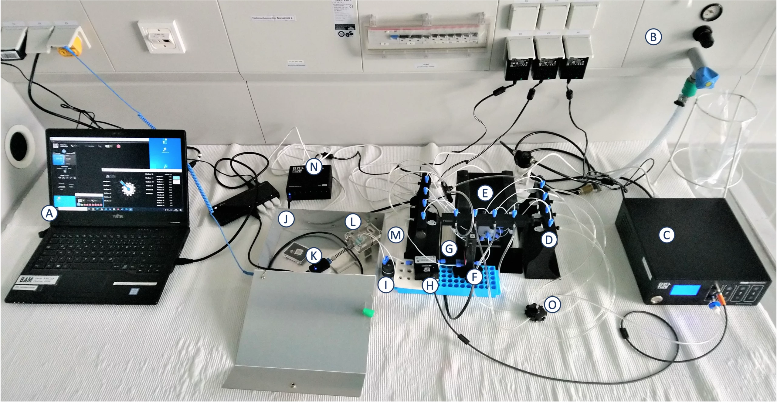 3D microfluidic flow cell immunoassay setup