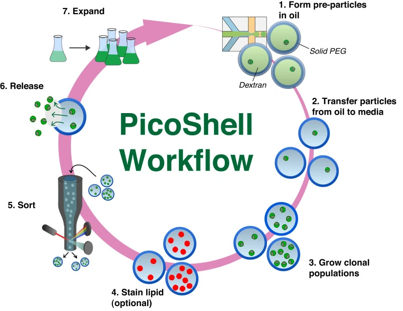 Picoshells