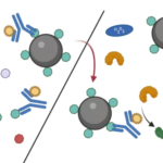 From Laboratory Immunoassays To Immunosensors With An Integrated Microfluidic Flow System