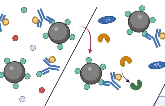 From Laboratory Immunoassays To Immunosensors With An Integrated Microfluidic Flow System
