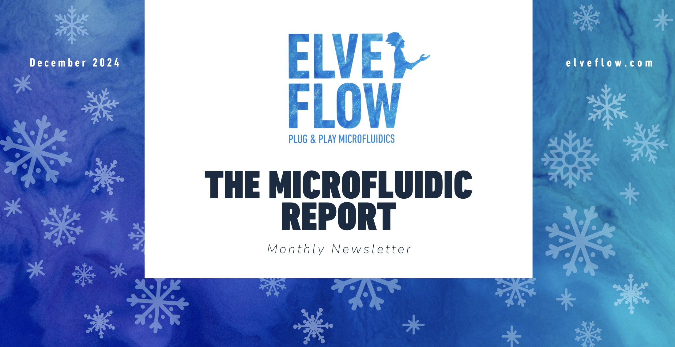 December newsletter